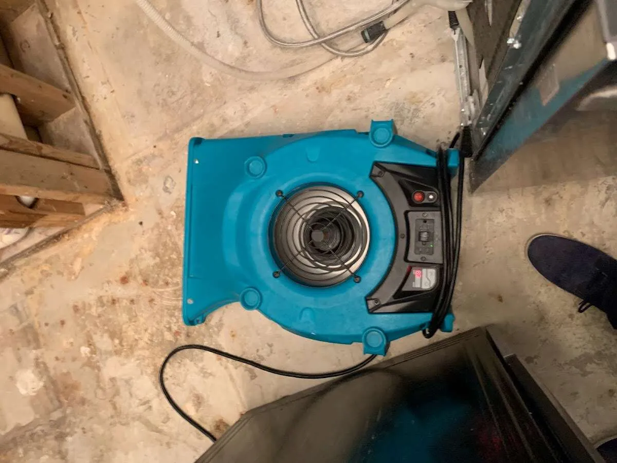 Air mover drying equipment for Mold Remediation & Removal in Mendota Heights